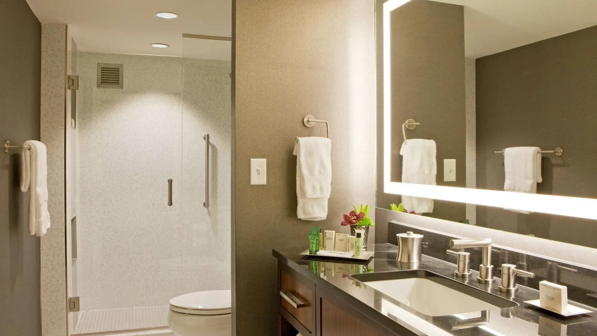 Hilton Nashville Downtown 4*,
