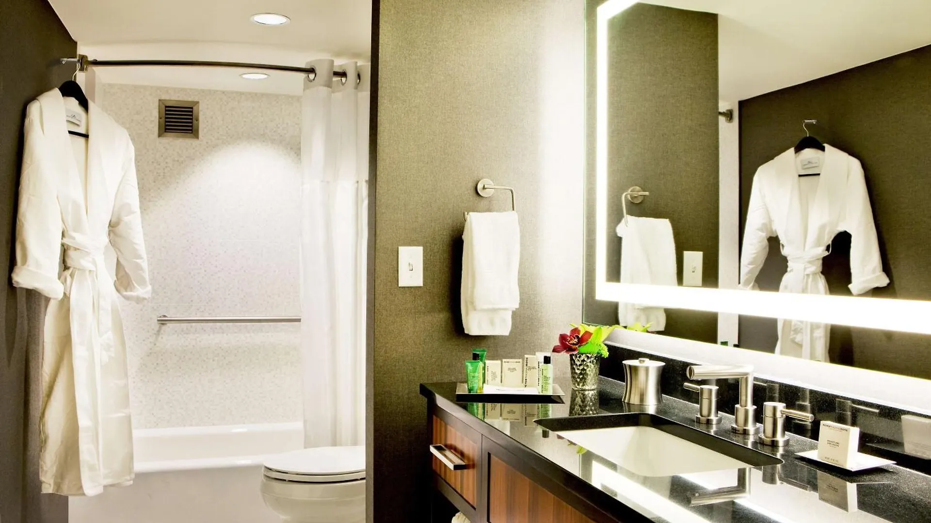 Hilton Nashville Downtown Hotel